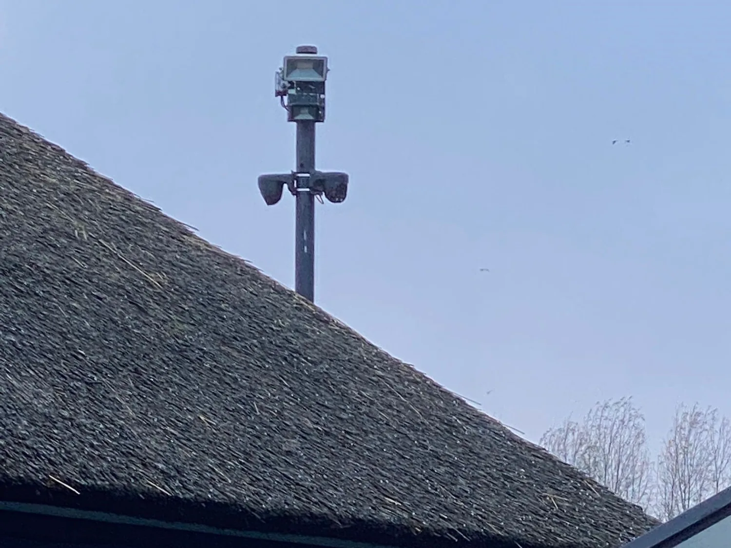 Camera op een paal die net boven een rieten kap uitkomt