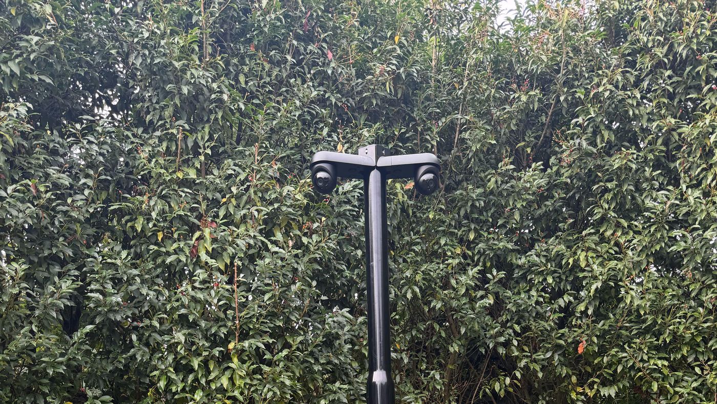 Camerapaal met twee camera's op een dwarsarm, geplaatst op een voetplaat tussen de struiken (brede uitsnede)