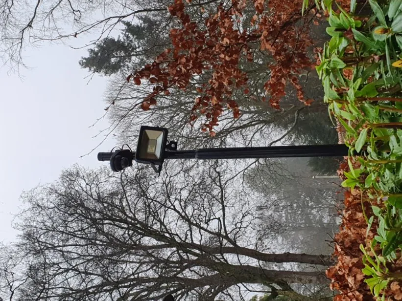 Camera op een dwarsarm, met herfstbladeren er dicht omheen