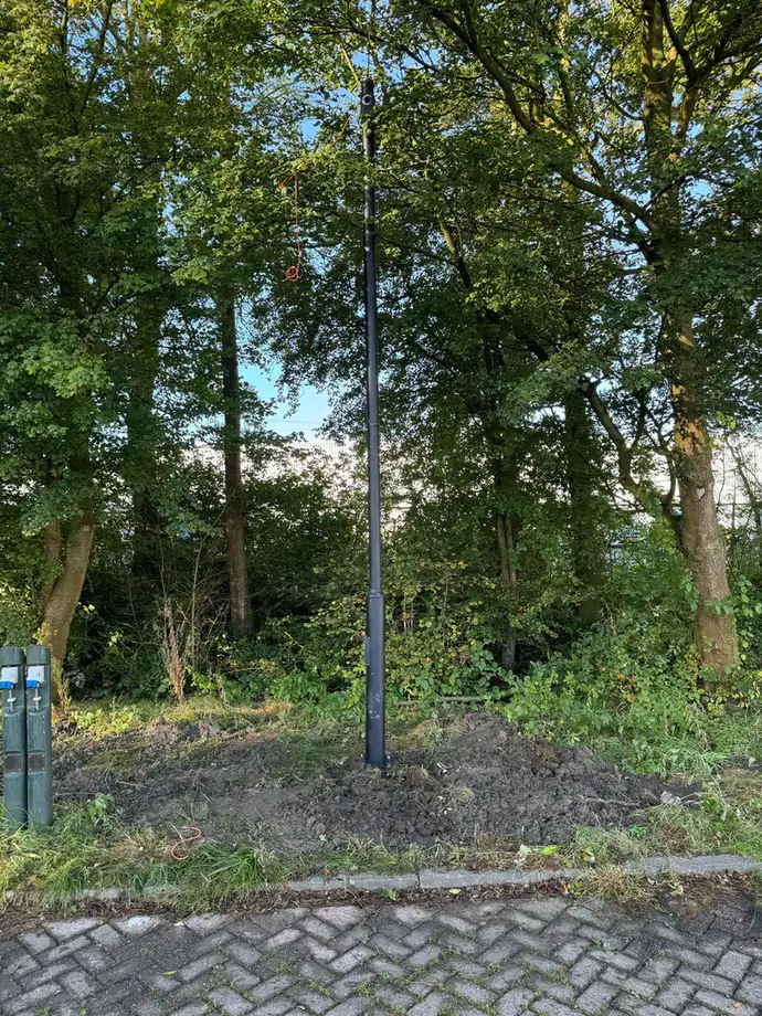 Slanke camerapaal tussen hoge bomen, net geplaatst