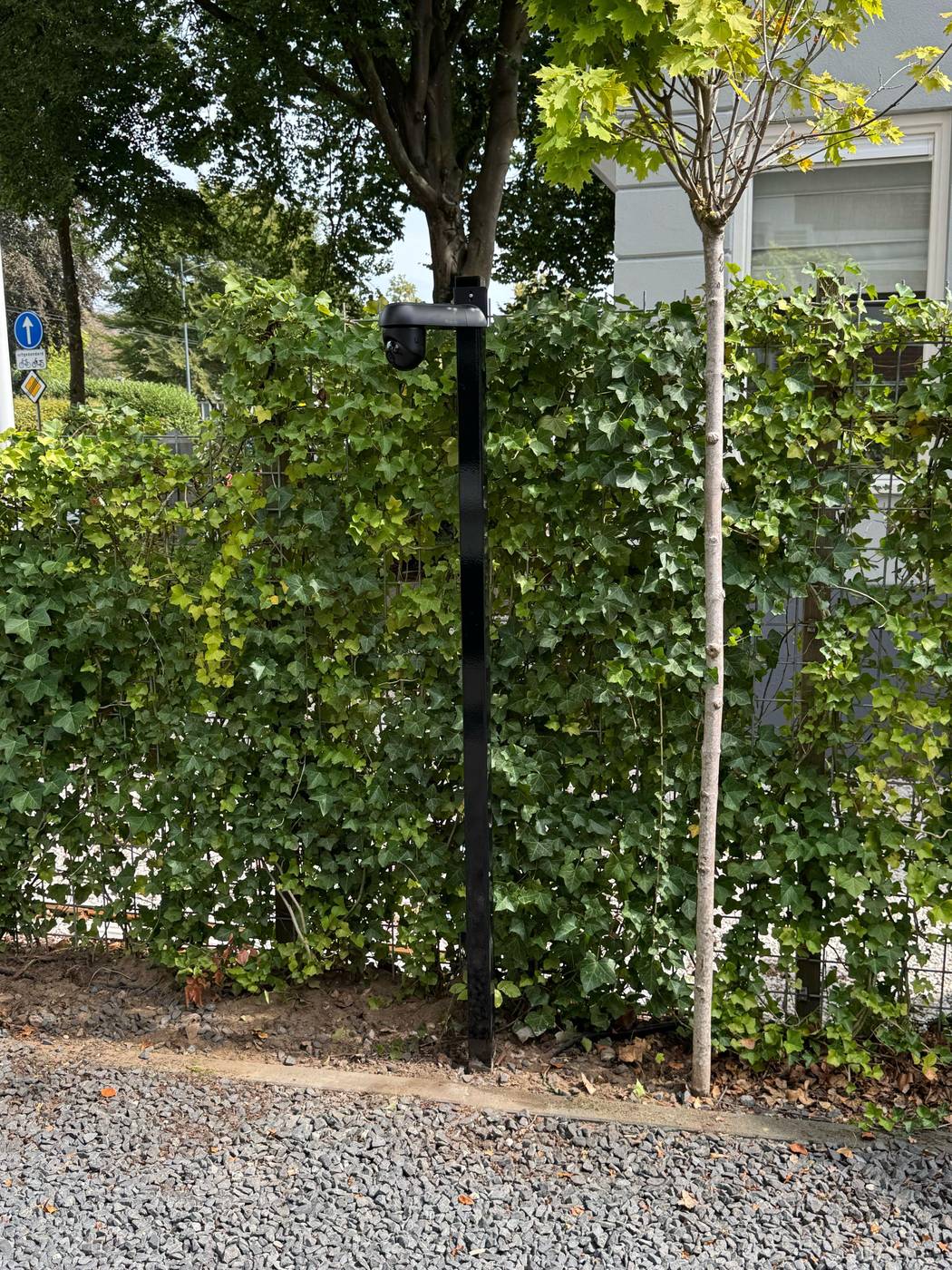 Slanke zwarte camerapaal met een camera onder een kapje in een voortuin, voor een met klimop begroeid hekwerk