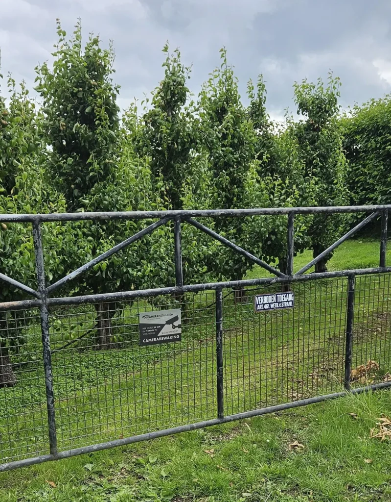 Hek met bord camerabewaking bij een boomgaard